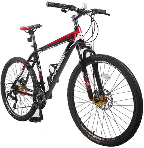 best mountain bike for 600 pounds