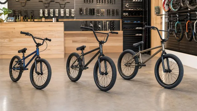Best BMX Bikes for Beginners