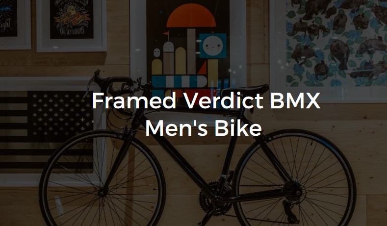framed verdict bmx bike
